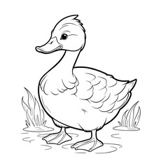 Duck in a water coloring page - coloring book