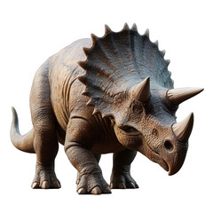 Fototapeta premium triceratops isolated on white