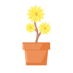 flower in a pot