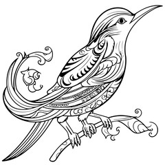 bird vector, bird svg, bird png, bird illustration, bird, animal, vector, nature, birds, illustration, tree, drawing, branch, design, cartoon, cute, sparrow, wing, pattern, flower, pigeon, feather, si