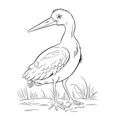 Stork coloring book for kids - coloring pages