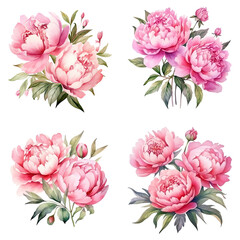 Watercolor pink flowers ornament set. Hand drawn isolated on transparent background.