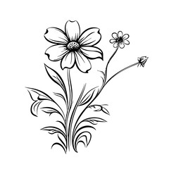 line drawing, line art png, line art prints, spring clipart, line art rose, rose clipart, floral svg, flower png, wildflower svg, flower clipart, bouquet svg, tattoo svg, line art, svg files, svg file