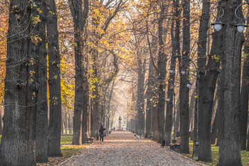 Erkindik Boulevard in autumn in Bishkek. Autumn morning walks on a city street.Selective focus.