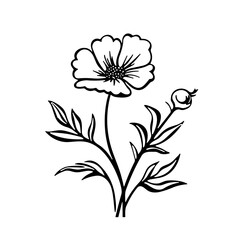 flower, vector, floral, nature, illustration, leaf, design, plant, flowers, pattern, decoration, art, spring, vintage, drawing, bouquet, flora, summer, blossom, element, ornament, card, wallpaper, sty