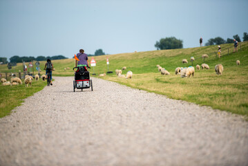 Rad Reisen - Rad Urlaub in Norddeutschland