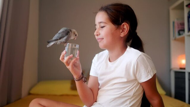 Kid girl kissing bird pet while drinking water indoors. Domestic animals and love relationship