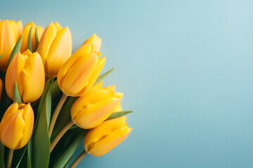 yellow Tulips on blue surface greeting card. Woman's day, 8 march, Easter, Mother's day, anniversary, wedding