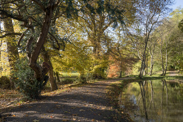 Autumn walk in Surrey