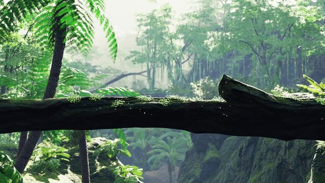 tropical jungles of South East Asia