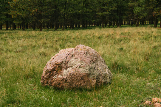 A lone boulder in a meadow in the Valles Caldera National Preserve, New Mexico