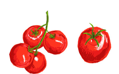 Illustration of a red tomato branch. Red tomatoes highlighted on a white background. Vegetables drawn in pencil style. Vegetables for menus, postcards, packaging