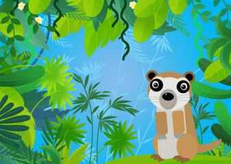 Fototapeta premium cartoon scene with safari animal meerkat illustration for children