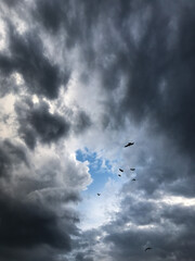 clouds in the sky