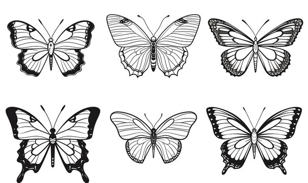 Black outline silhouette butterfly set. Collection of insects. Mascot icons illustration. Coloring page of cartoon butterflies. Pattern in black and white colors.