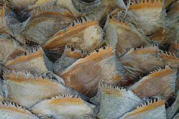 Cutout of a palm tree trunk. The bark cosists of cut off leaves. The remnants of the leaves form an...