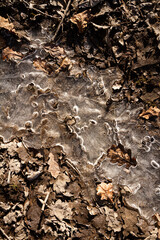 Spring ground covered with thawing snow