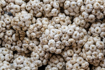Garlic tropical fresh ingredients use for good cooking and etc. around the world. For background. Close up, top view