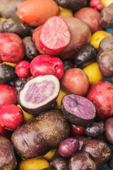 organic potatoes of different colors and sizes close-up selective focus, potato harvest