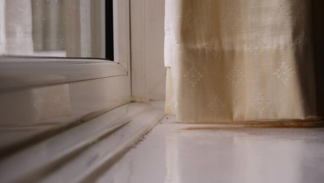 Curtains hang in the house window 