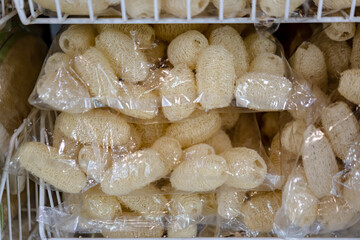 Bangkok, Thailand - September 12, 2023: Thai street food, fresh fruits, drink, ice cream and smoothies, with varieties of the tasty food, selling along the road side at Chatuchak weekend market. 