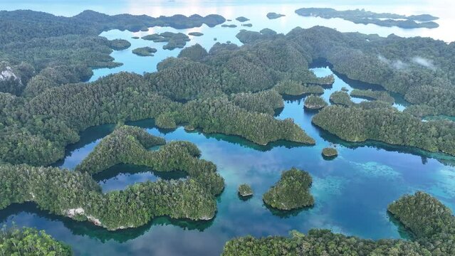 Scenic islands inside the larger island of Gam are fringed by mangrove forest and beautiful coral reefs. These islands, found in northern Raja Ampat, support an amazing array of biodiversity.