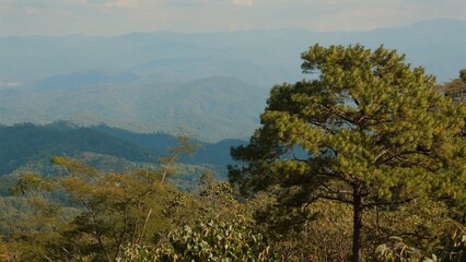 Panoramic view of layered mountain silhouettes under blue sky with evergreen trees in foreground, natural landscape scene.