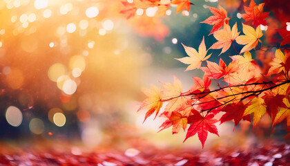 Naklejka na ściany i meble web banner design for autumn season and end year activity with red and yellow maple leaves with soft focus light and bokeh background