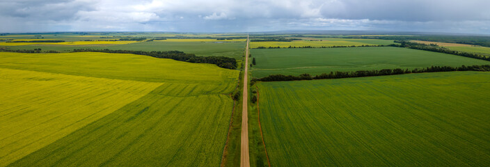 Aerial panoramic view of a vast prairie agricultural landscape with wheat and canola fields and a long straight gravel farm road. The road disappears into the distance. The sky is full of gray clouds 