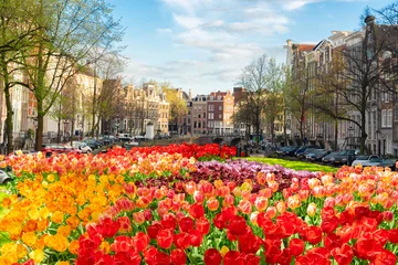 Foto op Aluminium Dutch spring city scenery with canal and tulips, Amsterdam, Netherlands © neirfy