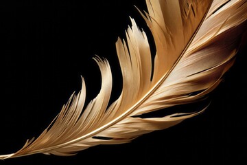 Single feather bathed in warm light, minimalist design with a tranquil feel.