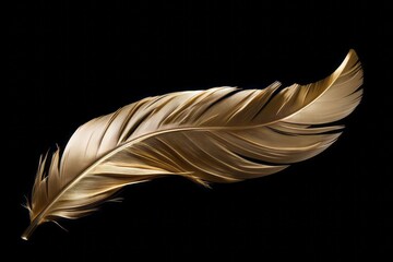 Single feather bathed in warm light, minimalist design with a tranquil feel. - obrazy, fototapety, plakaty