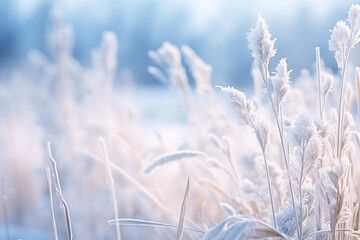 Winter atmospheric landscape with frost-covered dry plants during snowfall. Winter Christmas background - obrazy, fototapety, plakaty