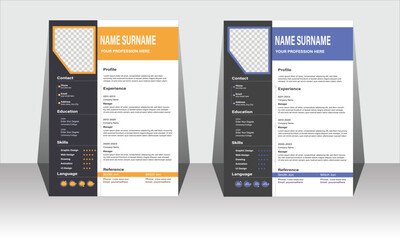 Modern and Classic Clean Resume Layout