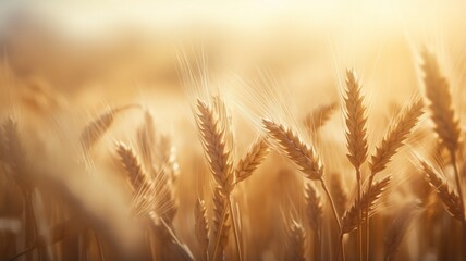 Fields of golden wheat ears of wheat are swaying beautiful Ai generated Natural Beauty Photo