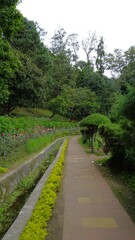 Fototapeta na wymiar Beautiful scenic garden of Kodaikanal Bryant Park.