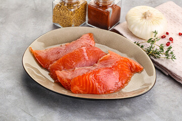 Salted raw salmon fillet appetizer