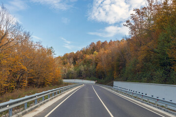 Road in the autumn forest. Beautiful empty mountain road, trees with red and orange foliage.