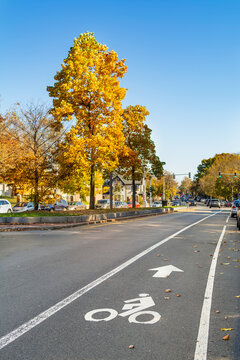 Bike lane sign isolated on street surface, Brighton, Massachusetts, USA 