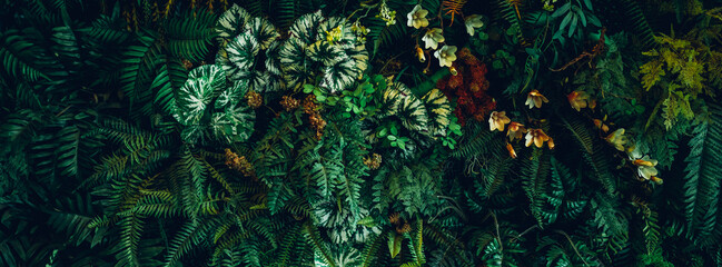 Close up group of background tropical green leaves texture and abstract background. Tropical leaf...