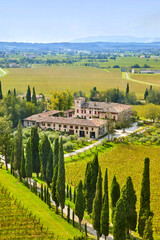 Beautiful panoramic view of the wine-growing area near San Martino della Battaglia near Lake Garda,...