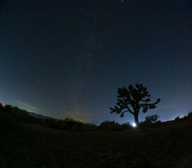 night sky with stars in the Mojave Desert