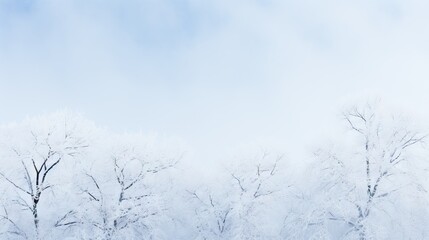 Bare trees covered in frost against a misty winter sky, creating a serene and minimalist landscape