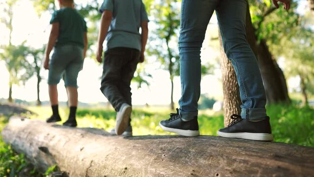 baby boy group playing in the forest park. close-up child feet walking on a fallen tree log. happy family kid dream concept. a child group in sneakers walks on a fallen tree in lifestyle park