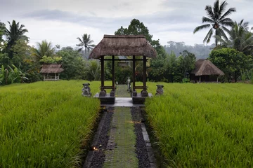 Selbstklebende Fototapeten Rice platation in Bali, Indonesia © Francesco