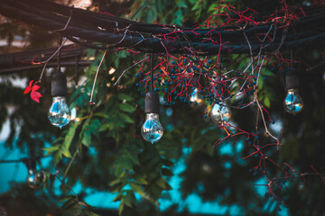 stylish light bulbs in the cafe