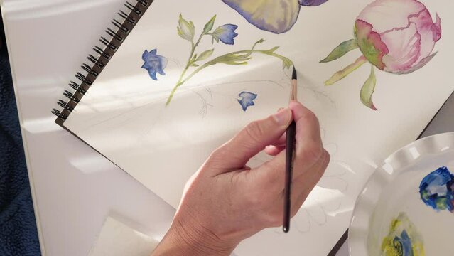 Watercolor painting. Watercolor sketch of flowers, close-up view from above