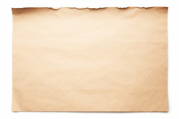 Obraz premium Light brown parchment paper with crisp rolled edges