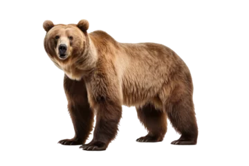 Keuken spatwand met foto A bear isolated on a transparent background. © tong2530