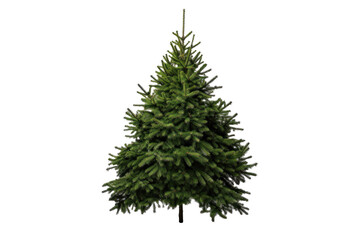 A christmas tree isolated on a transparent background.